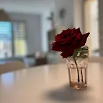 Family Friendly Downtown Apart
